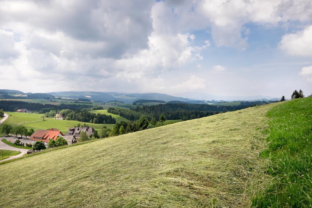Gasthaus Sonne Neuhaeusle Занкт-Мерген Екстер'єр фото